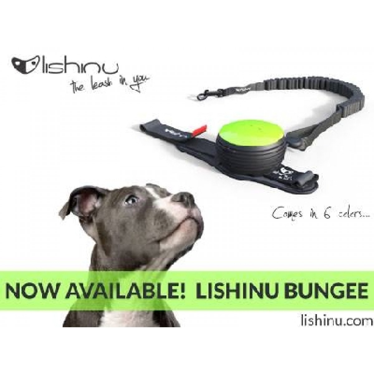 lishinu dog leash