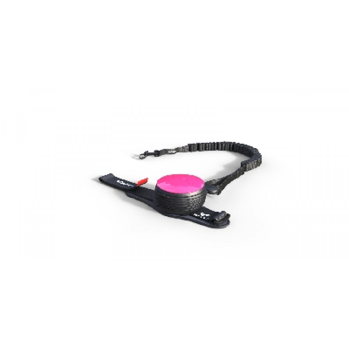 Lishinu online dog leash