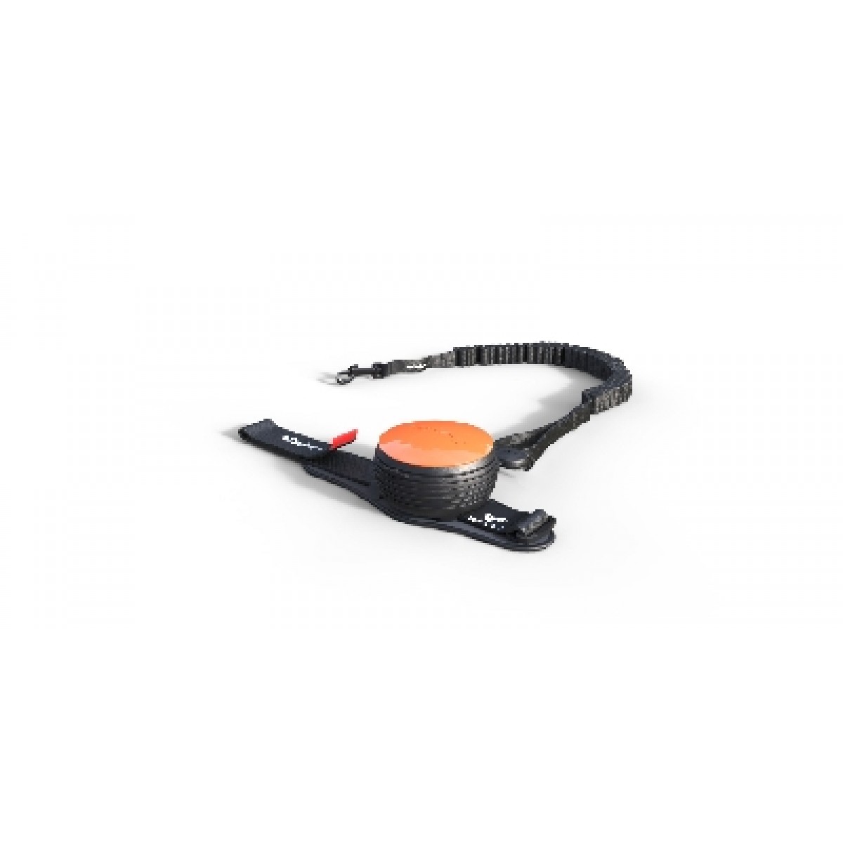 Lishinu hotsell dog leash