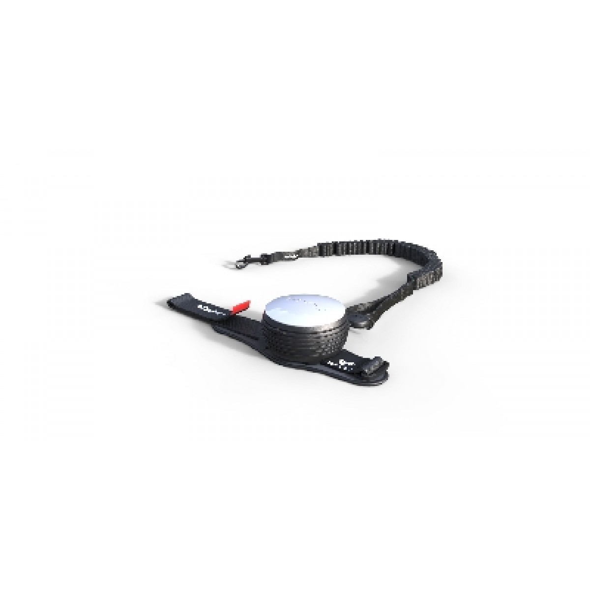 Lishinu the leash in you LI BUNGEE Lishinu retractable dog