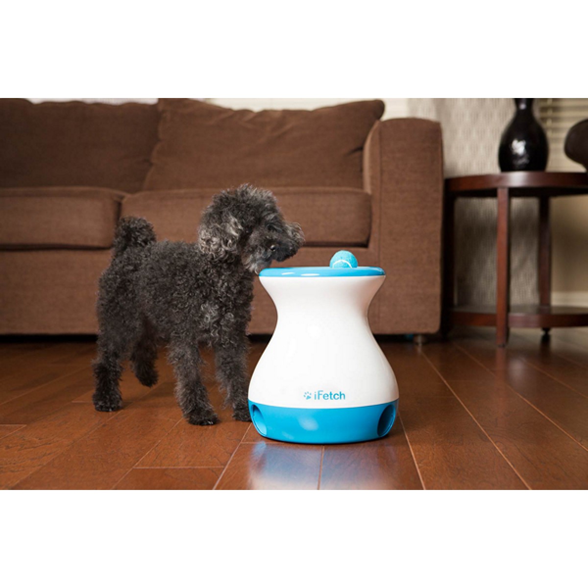 Ifetch frenzy hotsell ball launcher