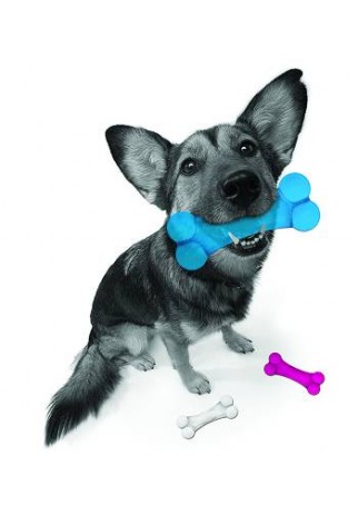 PETPROJEKT - Design and Fun for your Dog - DATA,IMAGE - Enabled