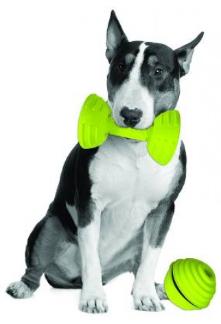 PETPROJEKT - Design and Fun for your Dog - DATA,IMAGE - Enabled
