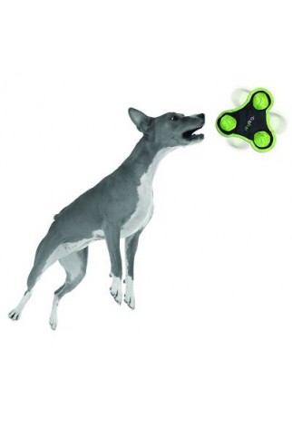 PETPROJEKT - Design and Fun for your Dog - DATA,IMAGE - Enabled