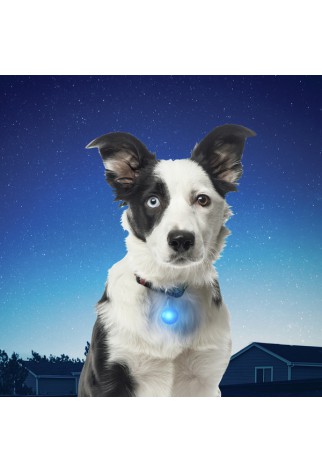 NITE IZE - Innovative Accessories - NI-PSLG - SpotLit Collar Light