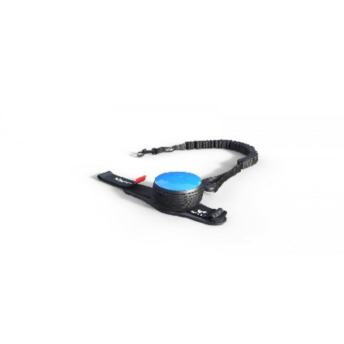 Lishinu the leash in you LI BUNGEE Lishinu retractable dog leash BUNGEE
