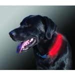 NITE IZE - Innovative Accessories - NI-NDCC - NiteDawg Collar Cover