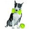 PETPROJEKT - Design and Fun for your Dog - DATA,IMAGE - Enabled