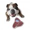 PETPROJEKT - Design and Fun for your Dog - DATA,IMAGE - Enabled