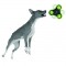 PETPROJEKT - Design and Fun for your Dog - DATA,IMAGE - Enabled