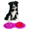 PETPROJEKT - Design and Fun for your Dog - DATA,IMAGE - Enabled