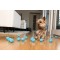 IFETCH - Ball Launcher - IF-iFetch-kl - iFetch Ball Launcher for Dogs