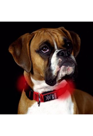 NITE IZE - Innovative Accessories - NI-NND-03 - Nite Dog - L.E.D. Dog Collar