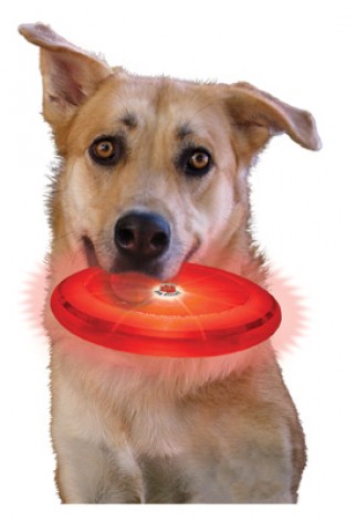 NITE IZE - Innovative Accessories - NI-FFDD-08 - Hunde LED Wurfscheibe