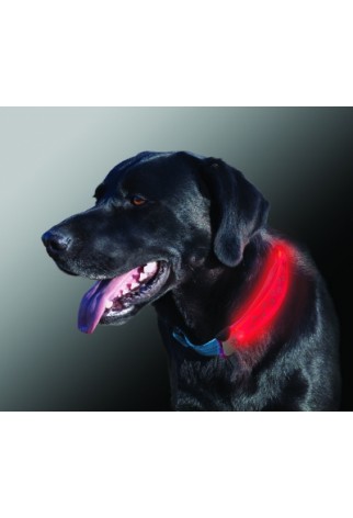 NITE IZE - Innovative Accessories - NI-NDCC - NiteDawg Collar Cover