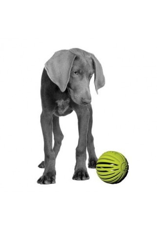 PETPROJEKT - Design and Fun for your Dog - PP-Holobal - Holobal 
