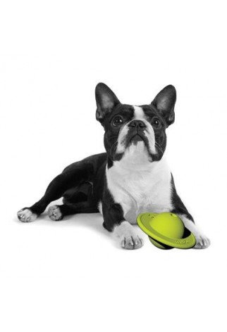 PETPROJEKT - Design and Fun for your Dog - PP-Ringbal - Ringbal
