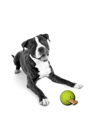 PETPROJEKT - Design and Fun for your Dog - PP-Tretbal - Tretbal