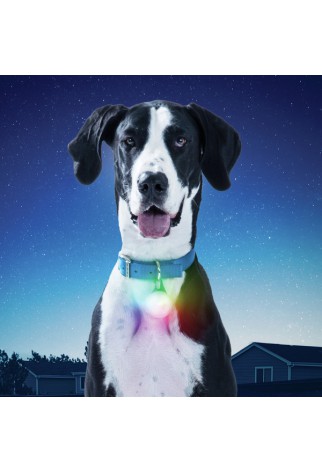 NITE IZE - Innovative Accessories - NI-PSLGR-07S-R6 - SpotLit XL Rechargeable Collar Light, disco select