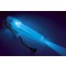 NITE IZE - Innovative Accessories - NI-LLW-07 - LED Wand