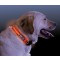 NITE IZE - Innovative Accessories - NI-NND-03 - Nite Dog - L.E.D. Dog Collar