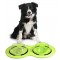 PETPROJEKT - Design and Fun for your Dog - DATA,IMAGE - Enabled