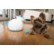 IFETCH - Ball Launcher - IF-iFetch-kl - iFetch Ball Launcher for Dogs