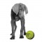 PETPROJEKT - Design and Fun for your Dog - PP-Holobal - Holobal