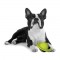 PETPROJEKT - Design and Fun for your Dog - PP-Ringbal - Ringbal