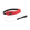 NITE IZE - Innovative Accessories - NI-RRL - RadDog All-In-One Collar + Leash, red