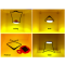 BRIGHT PRODUCTS - BP-Sunturtle - SunTurtle Solar Reading Lamp